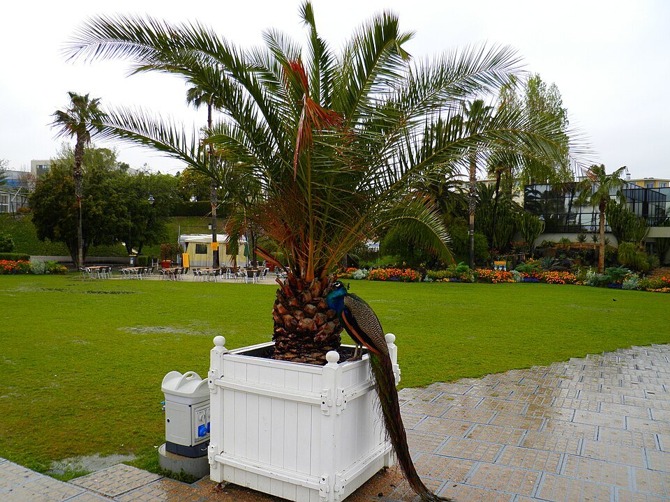 Parc Phoenix